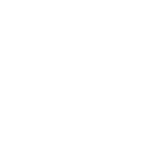 شوبي فاي