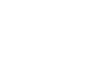 29-1-1.webp